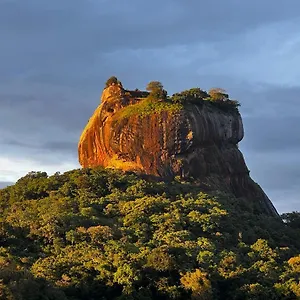 https://mango-villa-sigiriya.kandyhotelsnow.com