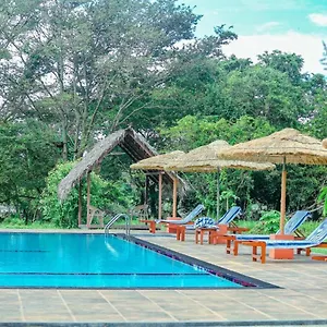 https://sigiriya-peacock-homestay.kandyhotelsnow.com
